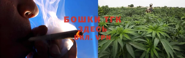 СК Горняк
