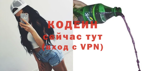 СК Горняк
