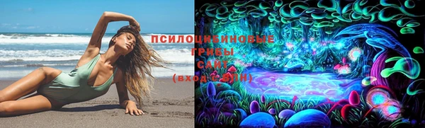твердый Горнозаводск