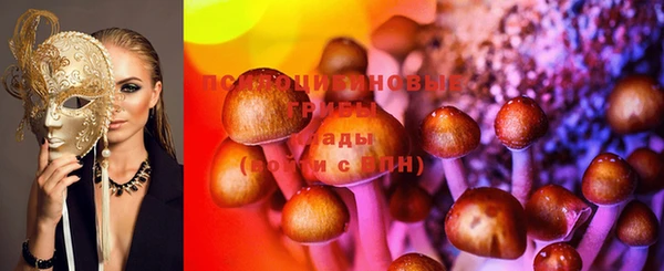 СК Горняк