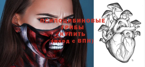 твердый Горнозаводск